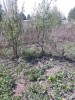Продам земельный участок в СНТ "Южный"